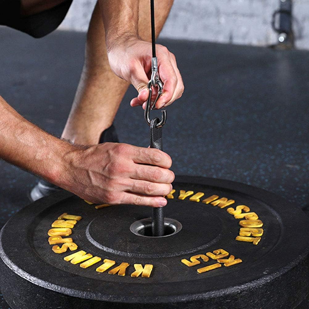 Plate Loading Pin with Carabiner